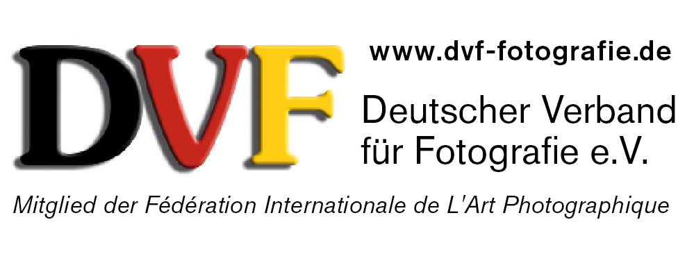 dvf logo schrift