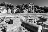 Forum-Romanum-Rom2013-Hans-k