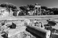 Forum-Romanum_Schäfer
